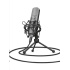 TRUST mikrofon GXT 242 Lance Streaming Microphone