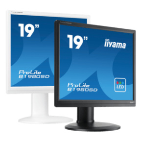 iiyama ProLite B19, 48.3 cm (19''), kit, black