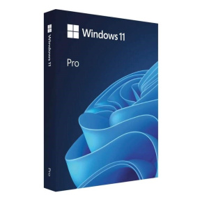 Windows Pro 11 64-bit Czech USB